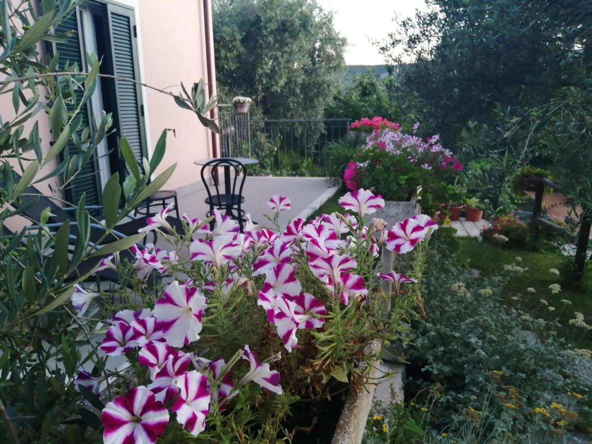 לינה וארוחת בוקר פינאלה ליגורה La Vie Est Belle מראה חיצוני תמונה